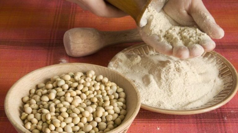 China analiza importar harina de soja argentina y visitará Bunge, Vicentín, Molinos, Louis Dreyfus y Cargill China analiza importar harina de soja argentina y visitará Bunge, Vicentín, Molinos, Louis Dreyfus y Cargill