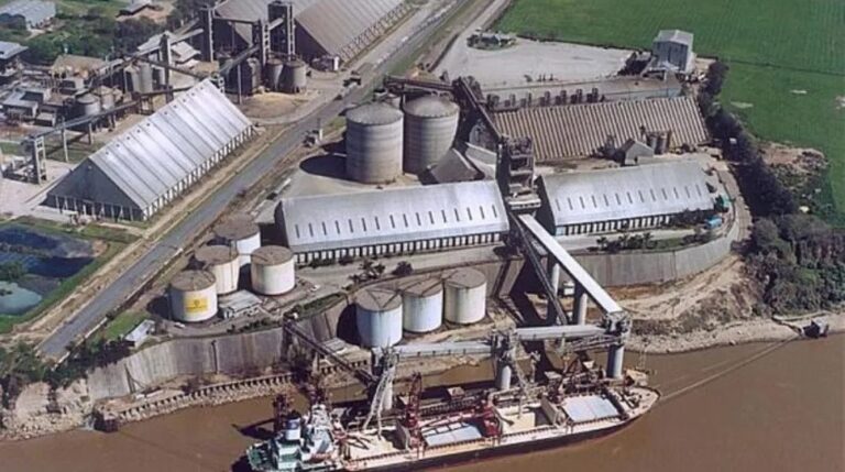 Por la suspensión para exportar por no liquidar divisas, Grupo Olio quiere denunciar funcionarios nacionales Por la suspensión para exportar por no liquidar divisas, Grupo Olio quiere denunciar funcionarios nacionales