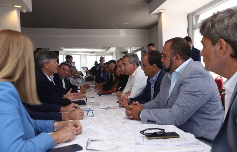 Efecto Milei: 40 intendentes del país reclamar el cumplimiento de la Ley y el subsidio al transporte Efecto Milei: 40 intendentes del país reclamar el cumplimiento de la Ley y el subsidio al transporte