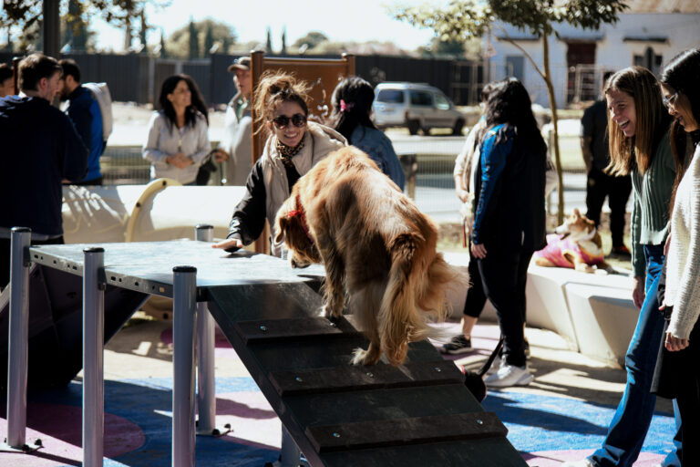 Rosario inauguró su primera plaza con espacio exclusivo para perros en Pichincha Rosario inauguró su primera plaza con espacio exclusivo para perros en Pichincha
